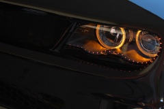 PhotoELF Edits:2013:02:18 --- Saved as: 24-Bit JPEG (EXIF) Format 98 % --- crop